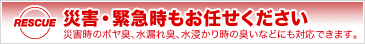 オゾン2.png